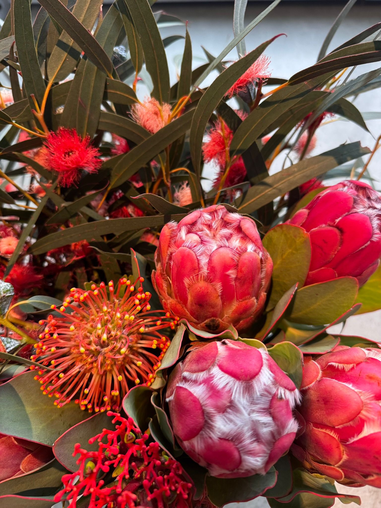 Blumenarrangement aus Protea, Leucospermum und blühendem Eukalyptus in der Nahaufnahme